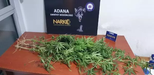 Son dakika haber! Adana'daki 'torbacı' operasyonlarına 7 tutuklama