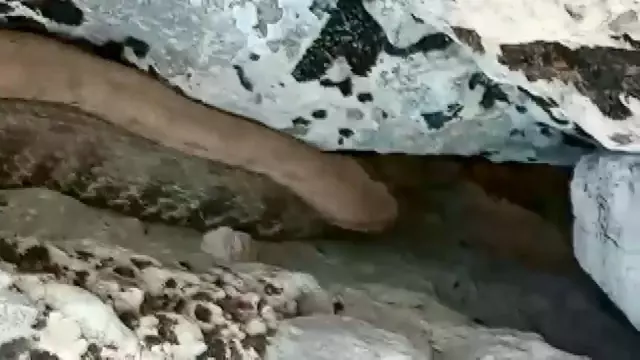 Tek şehir iki farklı görüntü: Bir tarafta yılanla sohbet ettiler, diğer tarafta taşladılar Tek şehir iki farklı görüntü: Bir tarafta yılanla sohbet ettiler, diğer tarafta taşladılar