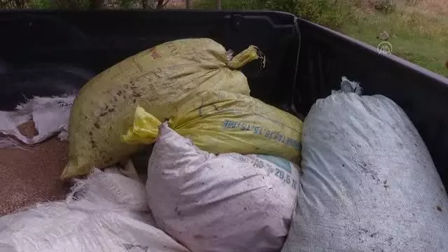 AFYONKARAHİSAR - Evde kaçak toplanan 5 çuval salyangoz bulundu AFYONKARAHİSAR - Evde kaçak toplanan 5 çuval salyangoz bulundu