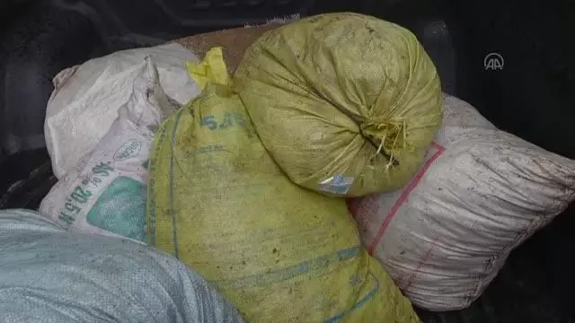 AFYONKARAHİSAR - Evde kaçak toplanan 5 çuval salyangoz bulundu AFYONKARAHİSAR - Evde kaçak toplanan 5 çuval salyangoz bulundu