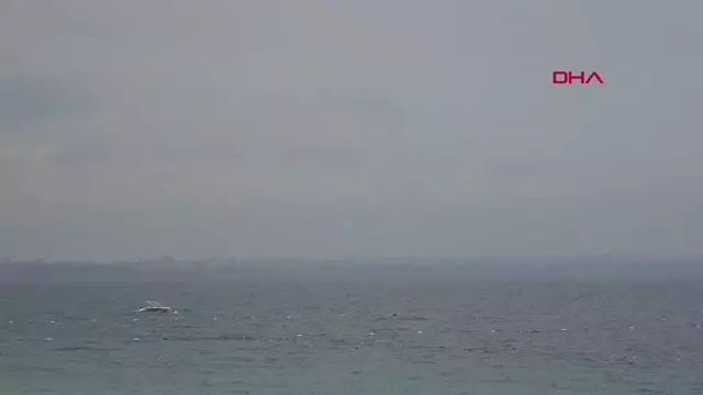Antalya'da aniden bastıran yağmur, sahildekilere zor anlar yaşattı Antalya'da aniden bastıran yağmur, sahildekilere zor anlar yaşattı