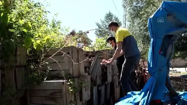 Annelerinin terk ettiği kedilere belediye sahip çıktı Annelerinin terk ettiği kedilere belediye sahip çıktı
