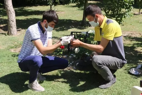 Annelerinin terk ettiği yavru kediler korumaya alındı