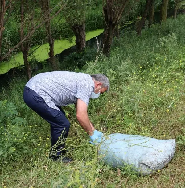 BASKIN YAPILAN EVDE, KAÇAK TOPLANAN 5 ÇUVAL SALYANGOZ ELE GEÇİRİLDİ BASKIN YAPILAN EVDE, KAÇAK TOPLANAN 5 ÇUVAL SALYANGOZ ELE GEÇİRİLDİ
