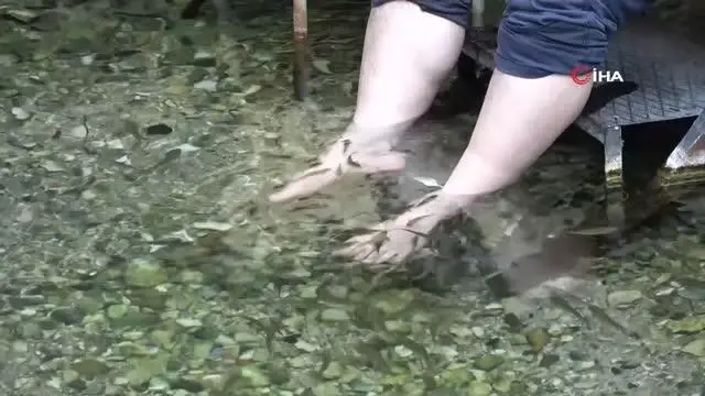 Bu su koronavirüs ve kansere karşı koruyor