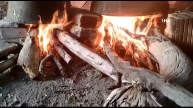 Çam ağaçlarından toplanıp kaynatılıyor, kilogramı 100 TL'den satılıyor- Her derde şifa bağışıklık deposu çam kozalağı pekmezi- 8 saat odun ateşinde... Çam ağaçlarından toplanıp kaynatılıyor, kilogramı 100 TL'den satılıyor- Her derde şifa bağışıklık deposu çam kozalağı pekmezi- 8 saat odun ateşinde...