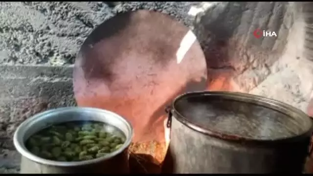 Çam ağaçlarından toplanıp kaynatılıyor, kilogramı 100 TL'den satılıyor- Her derde şifa bağışıklık deposu çam kozalağı pekmezi- 8 saat odun ateşinde... Çam ağaçlarından toplanıp kaynatılıyor, kilogramı 100 TL'den satılıyor- Her derde şifa bağışıklık deposu çam kozalağı pekmezi- 8 saat odun ateşinde...