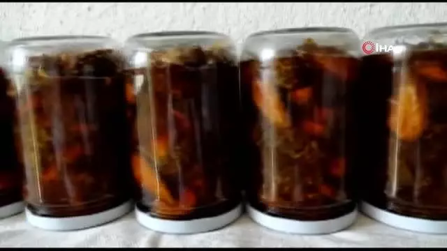 Çam ağaçlarından toplanıp kaynatılıyor, kilogramı 100 TL'den satılıyor- Her derde şifa bağışıklık deposu çam kozalağı pekmezi- 8 saat odun ateşinde... Çam ağaçlarından toplanıp kaynatılıyor, kilogramı 100 TL'den satılıyor- Her derde şifa bağışıklık deposu çam kozalağı pekmezi- 8 saat odun ateşinde...