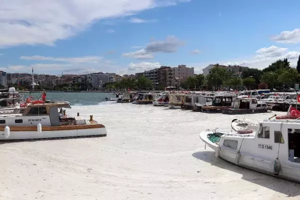ÇANAKKALE'DE 198 METREKÜP MÜSİLAJ TOPLANDI