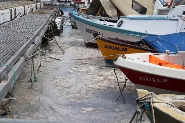 ÇANAKKALE'DE 198 METREKÜP MÜSİLAJ TOPLANDI