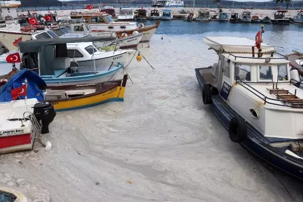 ÇANAKKALE'DE 198 METREKÜP MÜSİLAJ TOPLANDI