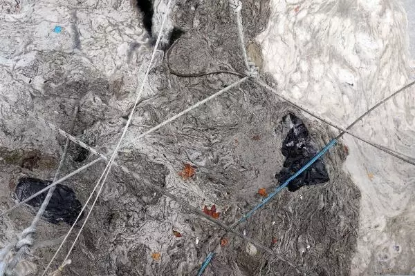ÇANAKKALE'DE 198 METREKÜP MÜSİLAJ TOPLANDI