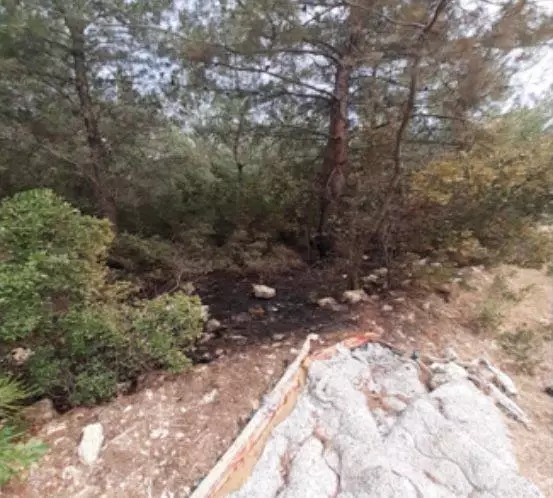 İzmir'de 4 ayrı noktada çıkan orman yangınlarına ilişkin yakalanan terör örgütü zanlısı tutuklandı
