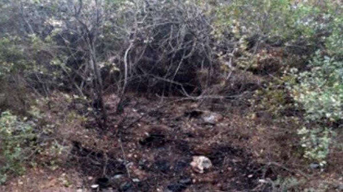 İzmir'de dört ayrı noktada orman yangını çıkarmak isteyen şüpheli, PKK/KCK üyesi çıktı