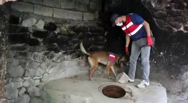 JANDARMADAN UYUŞTURUCU OPERASYONU; 7 KİŞİ TUTUKLANDI JANDARMADAN UYUŞTURUCU OPERASYONU; 7 KİŞİ TUTUKLANDI