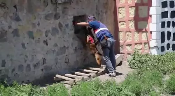 JANDARMADAN UYUŞTURUCU OPERASYONU; 7 KİŞİ TUTUKLANDI JANDARMADAN UYUŞTURUCU OPERASYONU; 7 KİŞİ TUTUKLANDI