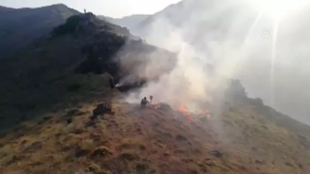 Keban'da 30 dönümlük alanda etkili olan örtü yangınına müdahale ediliyor
