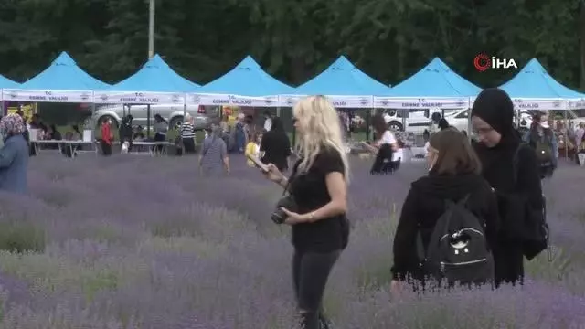 Lavanta Tarla Günlerinde müzik resitali