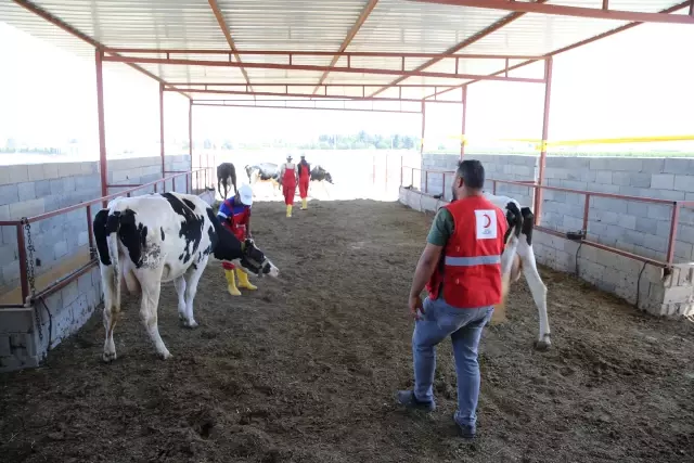Uygulamalı tarım ve hayvancılık eğitimi istihdam kapısı oldu