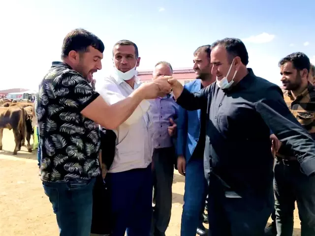 Ağrı'da kurbanlıklar pandemi gölgesinde görücüye çıktı Ağrı'da kurbanlıklar pandemi gölgesinde görücüye çıktı