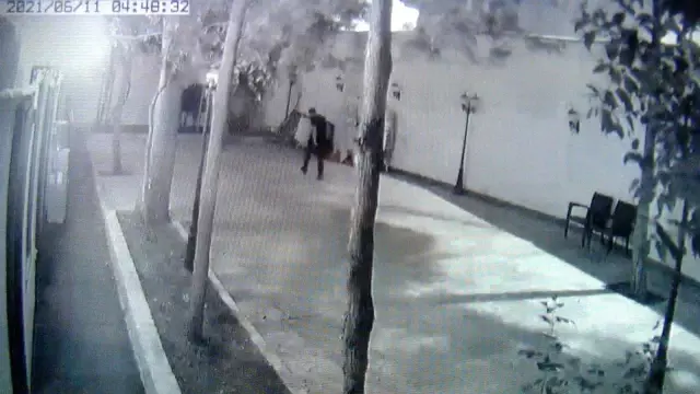 Çalacak bir şey bulamayan hırsız bıldırcın çaldı
