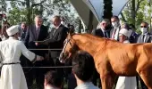 Cumhurbaşkanı Erdoğan'a Azerbaycan'da büyük sürpriz! Aliyev at hediye etti Cumhurbaşkanı Erdoğan'a Azerbaycan'da büyük sürpriz! Aliyev at hediye etti