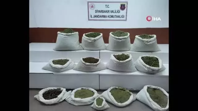 Diyarbakır'da terörün finans kaynağına büyük darbe: 344 noktada 22 milyon kök kenevir ile 190 kilogram esrar ele geçirildi