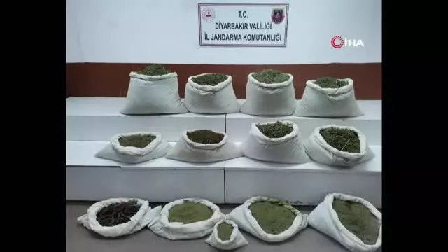Diyarbakır'da terörün finans kaynağına büyük darbe: 344 noktada 22 milyon kök kenevir ile 190 kilogram esrar ele geçirildi