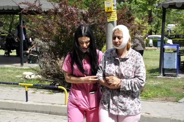 Köpek beslerken dövüldüğü iddia edilen kadın yaşadıklarını anlattı: Koşarak yüzüme yumruk attı