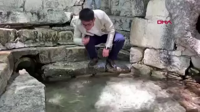 GÜLNAR'DA 4 ÇINAR AĞACI TESCİLLENDİ GÜLNAR'DA 4 ÇINAR AĞACI TESCİLLENDİ