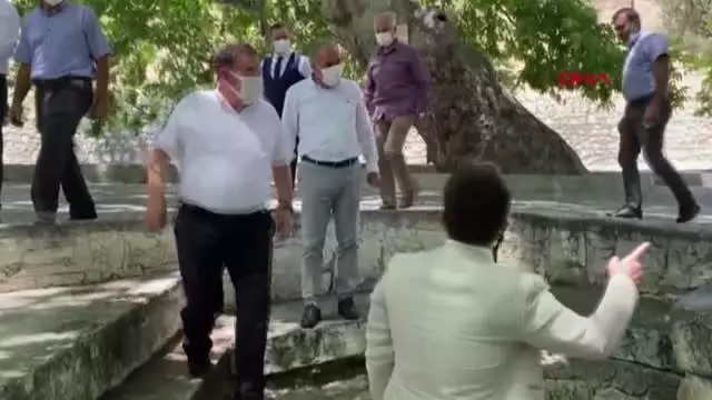 GÜLNAR'DA 4 ÇINAR AĞACI TESCİLLENDİ