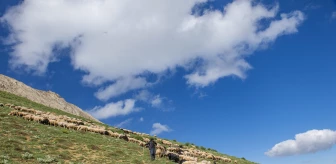 Huzura kavuşan Tunceli'nin doğal güzellikleri göz kamaştırıyor
