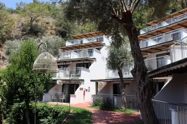 İşadamı Dr. Murat Çelik'in Ölüdeniz'de ortak olduğu Club Hotel Meri, sezonun ilk misafirlerini ağırladı