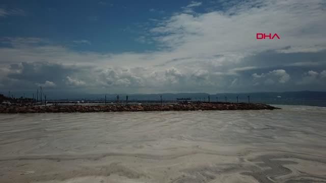 izmit korfezi nde deniz salyasi etkisini 14202143 o
