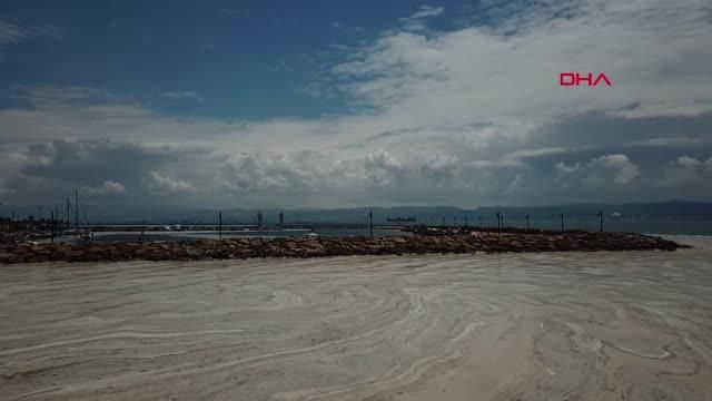 izmit korfezi nde deniz salyasi etkisini 2 14202143 o