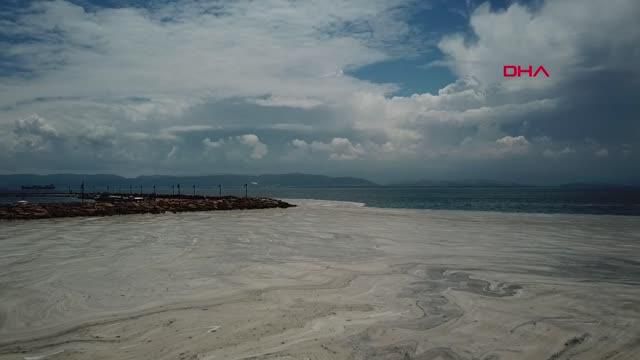 izmit korfezi nde deniz salyasi etkisini 4 14202143 o