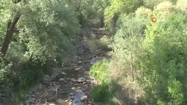 Koyunlar 8 asır sonra kuraklığa rağmen yapay gölette suya girecek