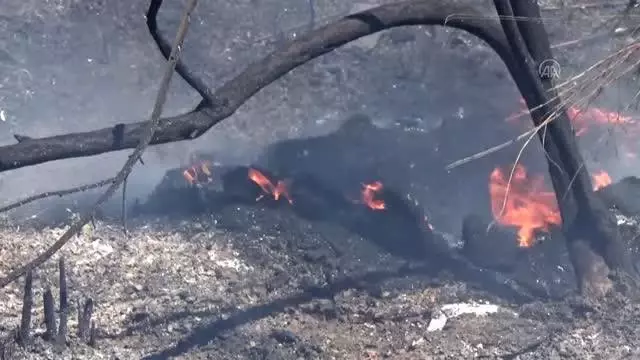 Narenciye bahçesinde çıkan yangın söndürüldü