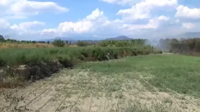 Narenciye bahçesinde çıkan yangın söndürüldü