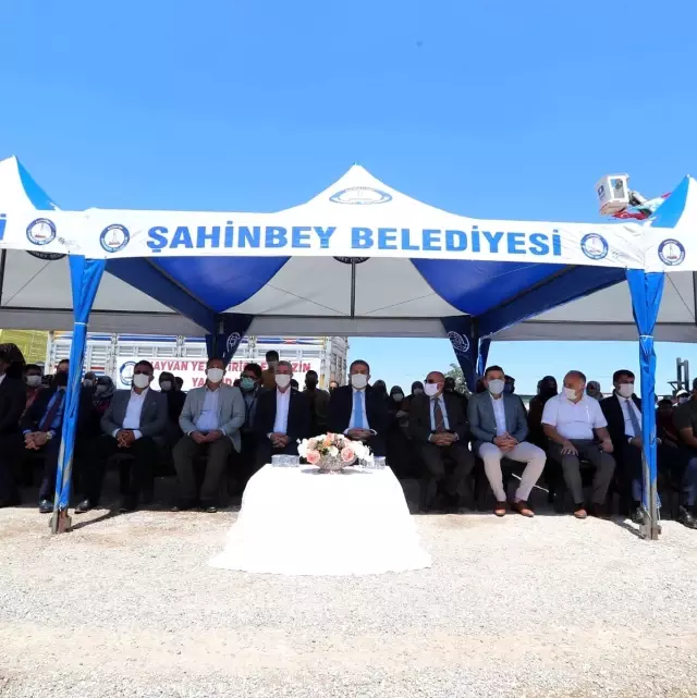 Şahinbey'den hayvan yetiştiricilerine bir destek daha