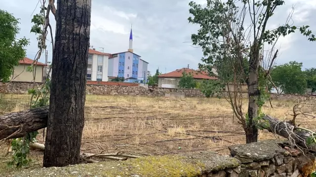 Şiddetli rüzgar ağacı devirdi, elektrik ve iletişim hatlarını kopardı Şiddetli rüzgar ağacı devirdi, elektrik ve iletişim hatlarını kopardı