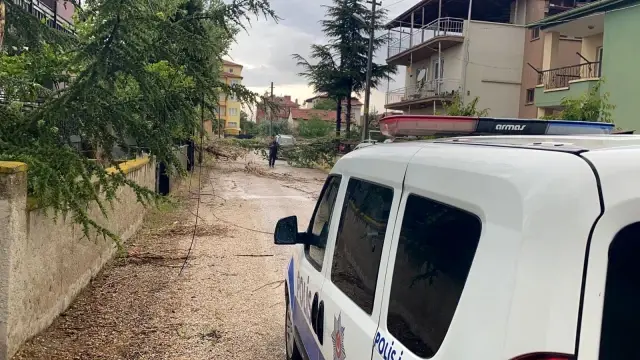 Şiddetli rüzgar ağacı devirdi, elektrik ve iletişim hatlarını kopardı Şiddetli rüzgar ağacı devirdi, elektrik ve iletişim hatlarını kopardı