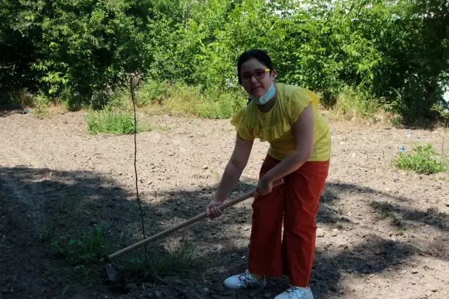 Tek fidan köyün geçim kaynağı oldu