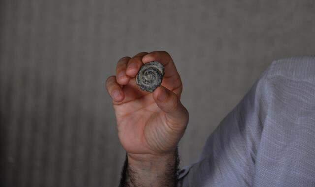 Türk arkeolog görür görmez değerini anladı! Yol kazısında 57 milyon yıllık fosil bulundu Türk arkeolog görür görmez değerini anladı! Yol kazısında 57 milyon yıllık fosil bulundu