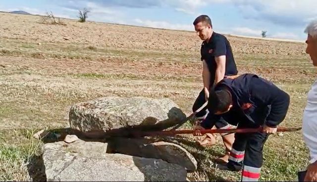 Afyonkarahisar'da boş su kuyusuna düşen yavru tilkiyi itfaiye ekipleri kurtardı
