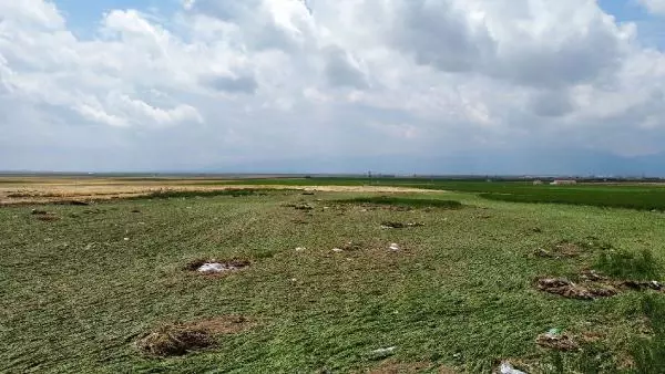 Afyonkarahisar'da sağanak; evler ve tarım arazileri su altında (2) Afyonkarahisar'da sağanak; evler ve tarım arazileri su altında (2)