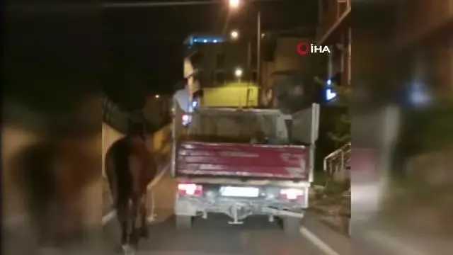 Bursa'da aracın arkasına at bağlayıp çevre yolunda koşturdu