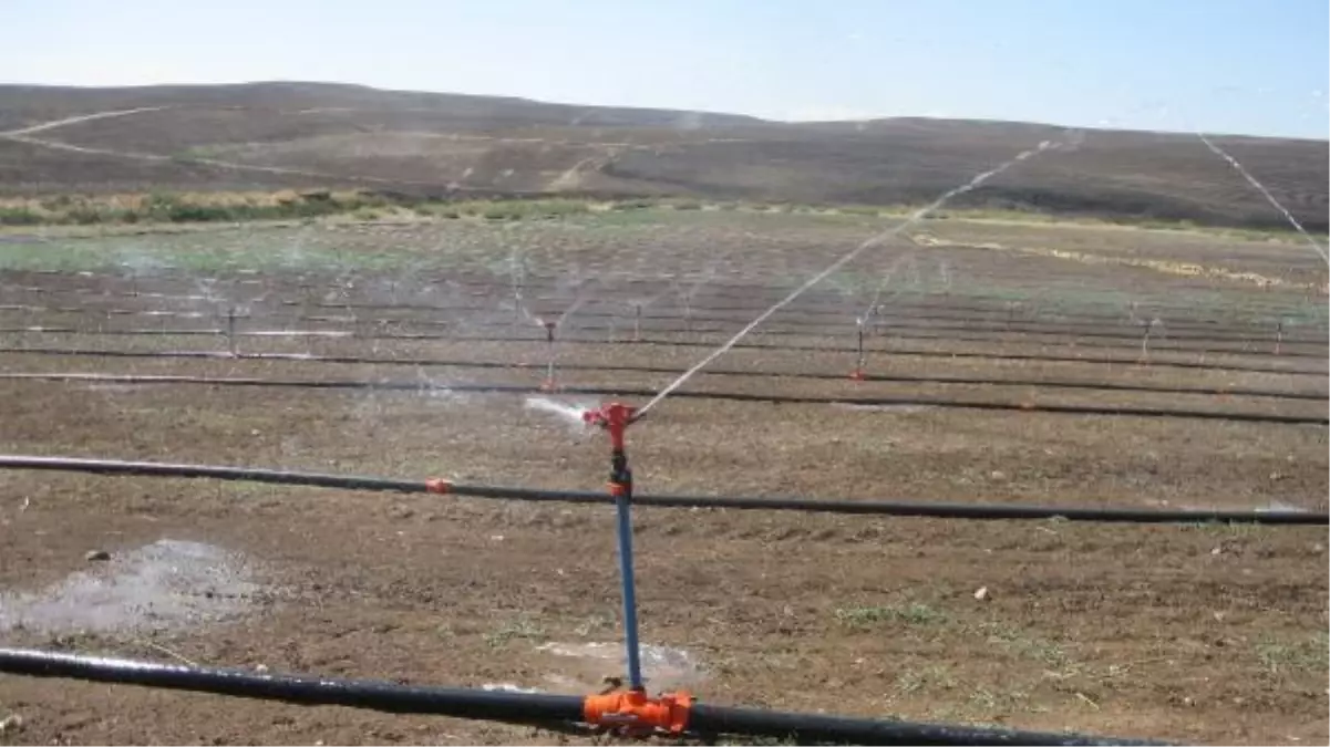 Diyarbakır çiftçisine 24 milyon lira hibe desteği