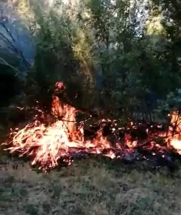 Son dakika haber: Köyde çıkan yangında 4 bahçe zarar gördü