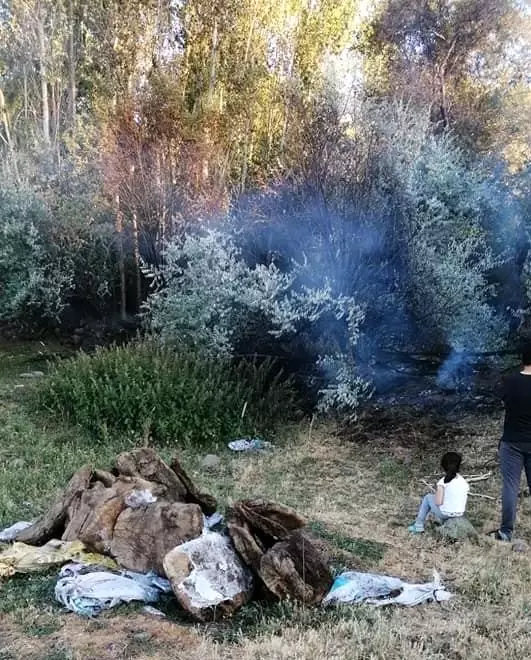 Son dakika haber: Köyde çıkan yangında 4 bahçe zarar gördü